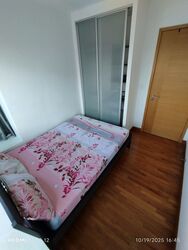 Esta Ruby (D14), Apartment #517826541